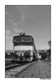 /album/stroje/incoming-train-jpg/